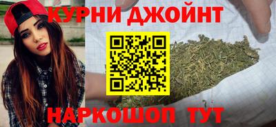 МДПВ Камышлов