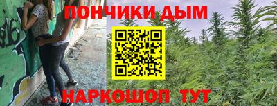 spice Кандалакша
