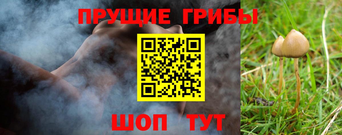 Галлюциногенные грибы Cubensis Лесозаводск